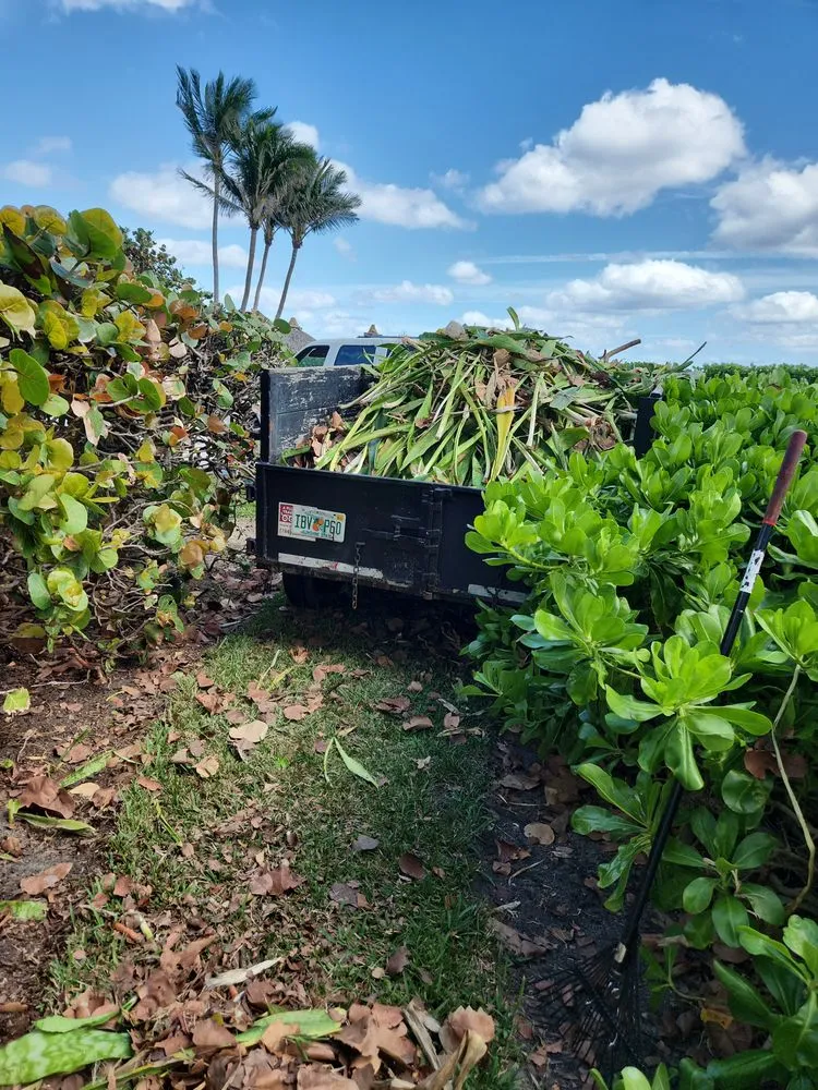 Affordable residential landscaping experts serving Hollywood, FL - arls landscape