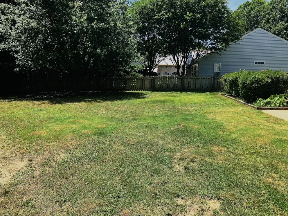 Affordable landscaping services experts serving Indian Land, SC - Arm Chair Lawn Service