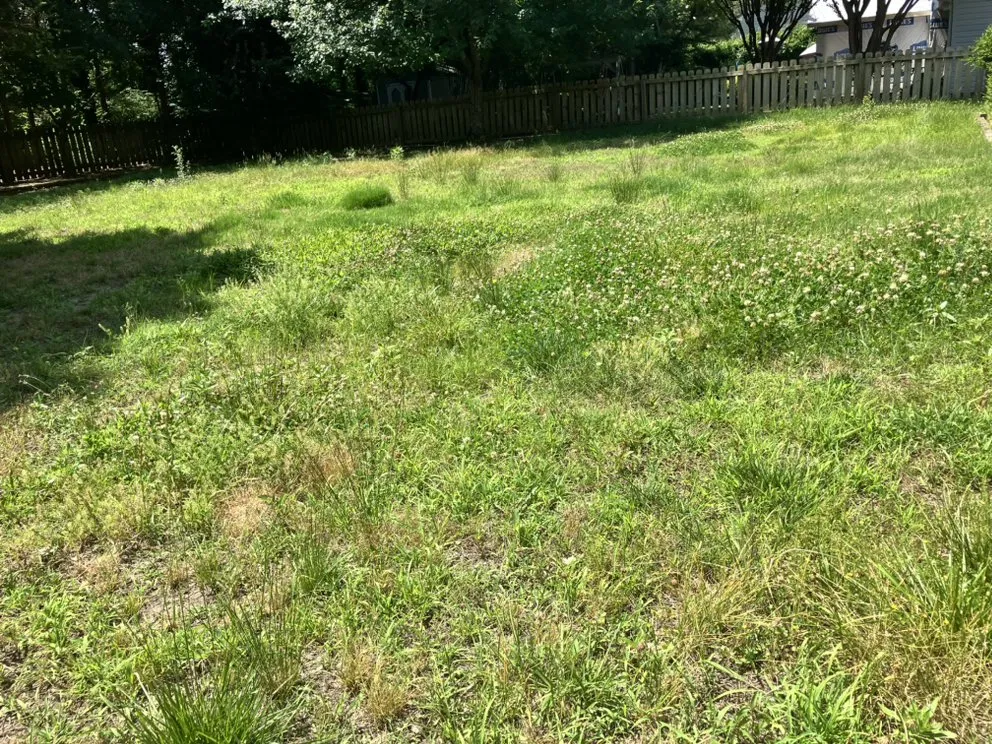 Affordable lawn care service in Indian Land, SC by Arm Chair Lawn Service
