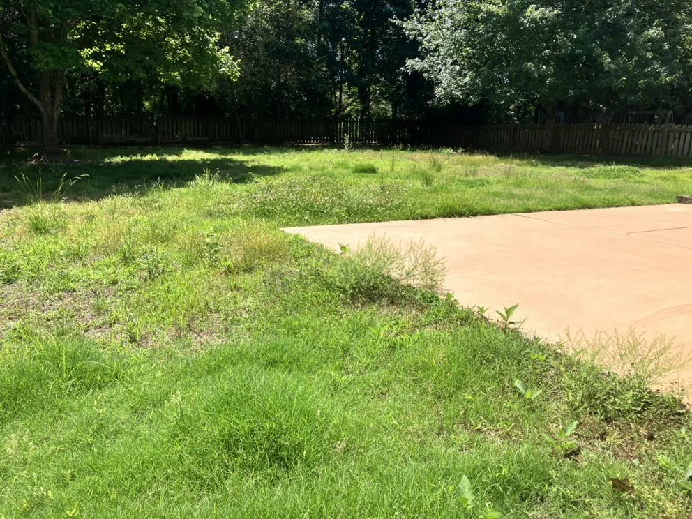 Trusted yard maintenance with custom design in Indian Land, SC by Arm Chair Lawn Service