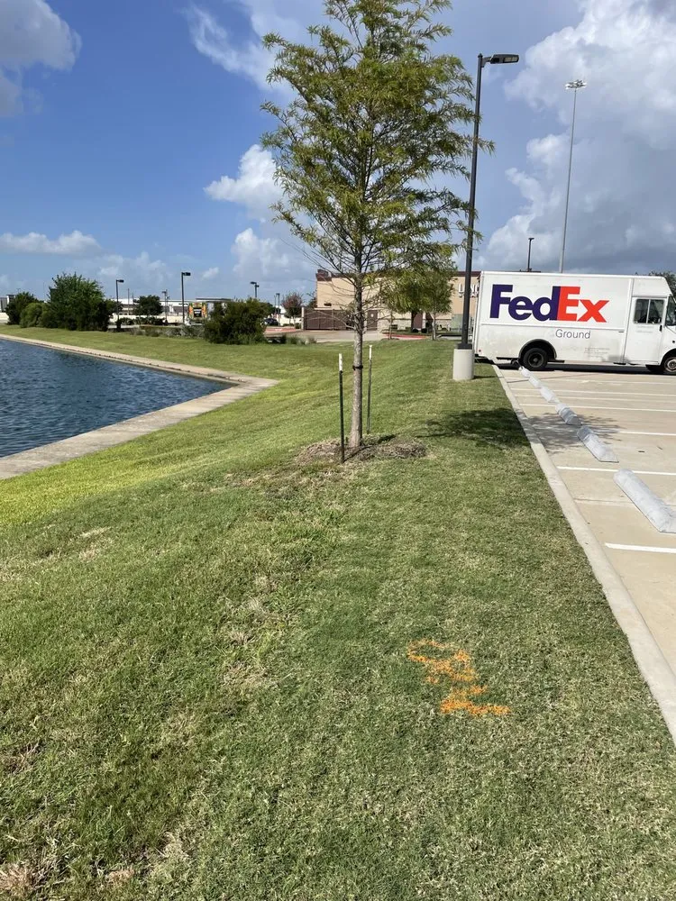 Reliable lawn care service in League City, TX by ARM Lawn Services