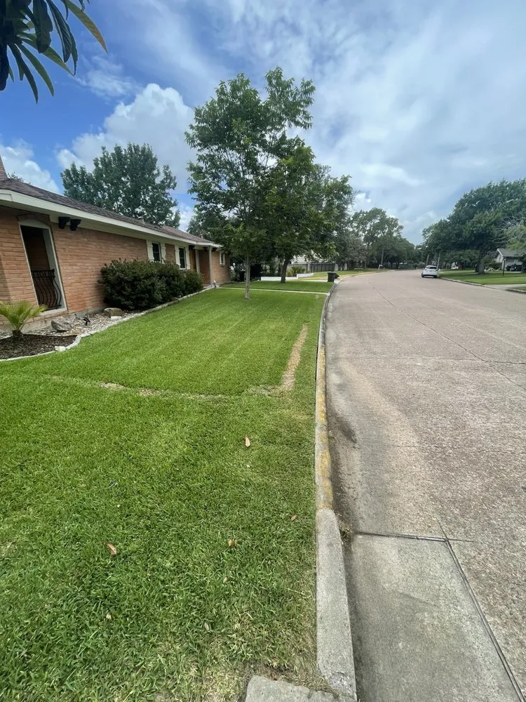 Top-rated lawn care service for year-round maintenance in League City, TX by ARM Lawn Services