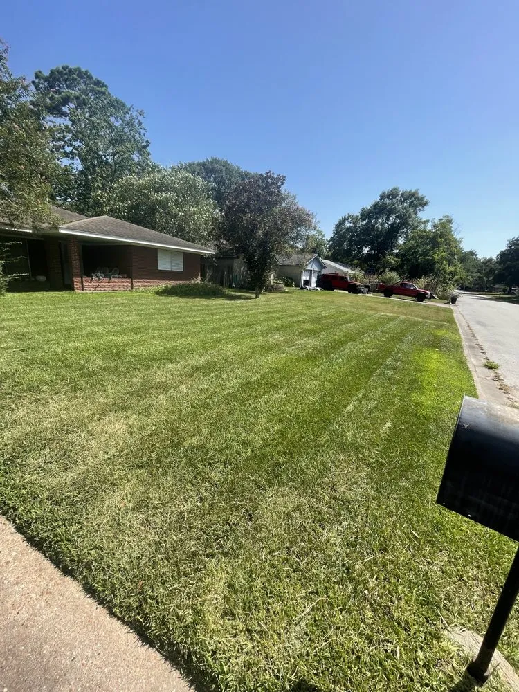 Top-rated landscaping services in League City, TX - ARM Lawn Services