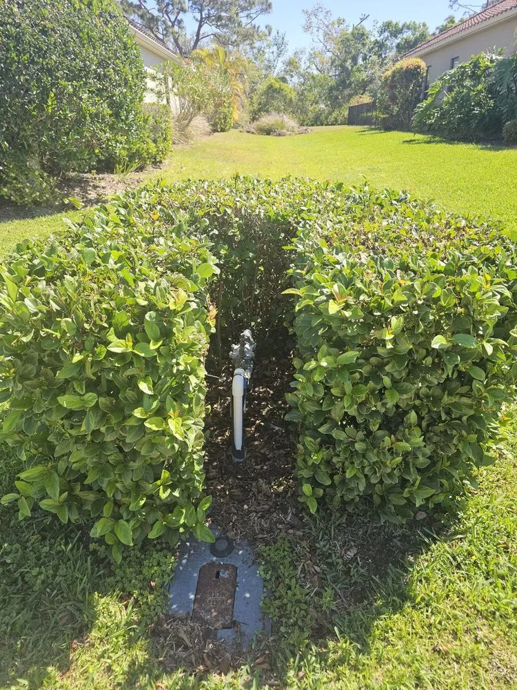 Trusted landscaping services for beautiful yards in Sarasota, FL by Armada