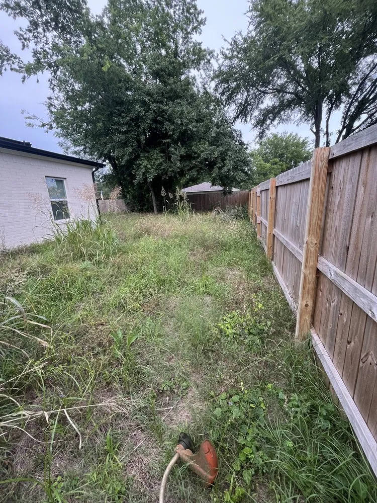 Trusted yard cleanup service in Trinidad, TX - Armadillo Lawn Care Services