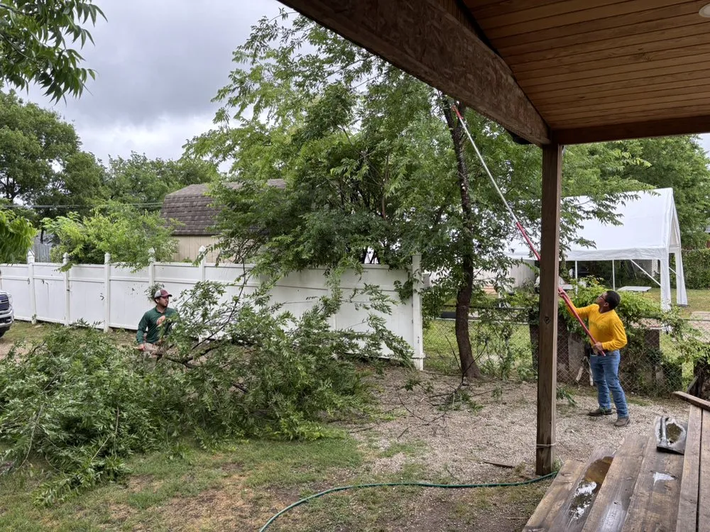 Local landscaping services in Trinidad, TX by Armadillo Lawn Care Services