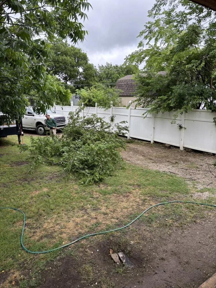 Reliable lawn care service for year-round maintenance across Trinidad, TX - Armadillo Lawn Care Services