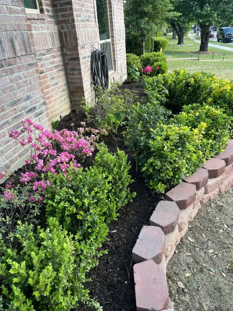Local landscaping services for year-round maintenance across Trinidad, TX - Armadillo Lawn Care Services