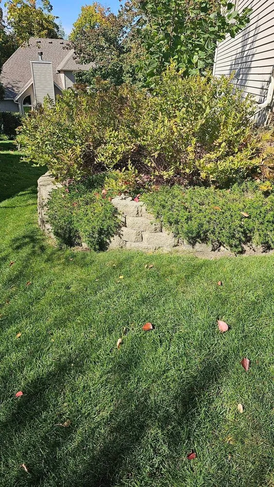 Professional landscape design for beautiful yards across Beloit, WI - Armadillo’s Landscaping
