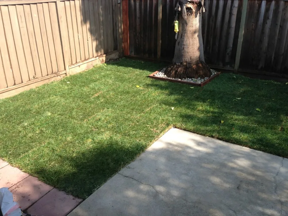 Custom garden landscaping in San Jose, CA - Armando Gardening