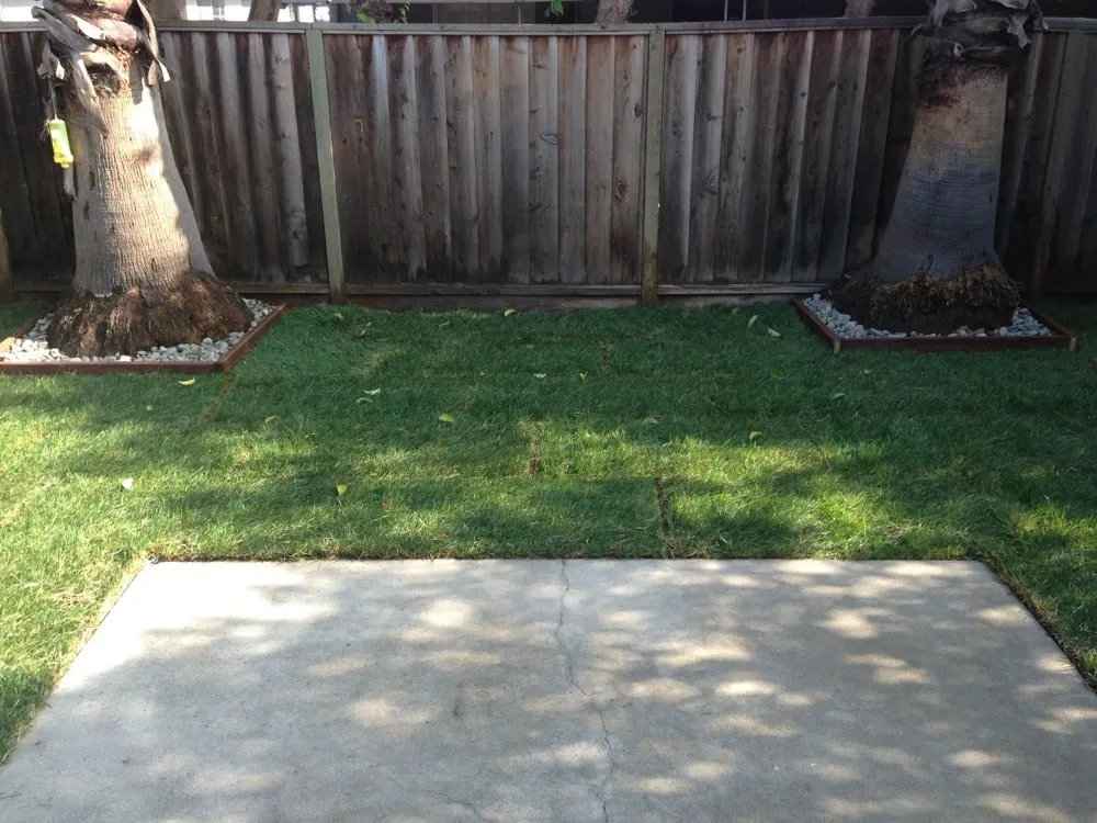 Expert lawn mowing service in San Jose, CA - Armando Gardening