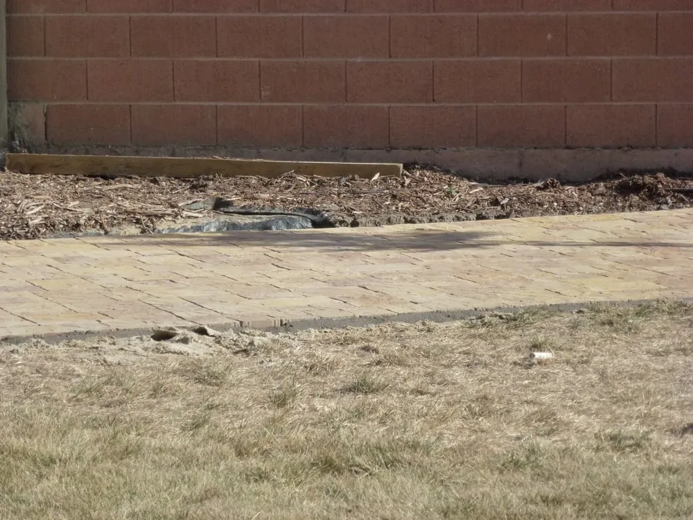 Local landscape installation in San Jose, CA by Armando Gardening