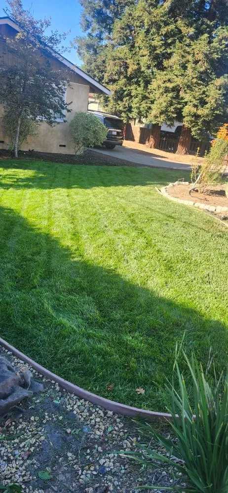 Professional garden landscaping in San Jose, CA - Armando Gardening Service
