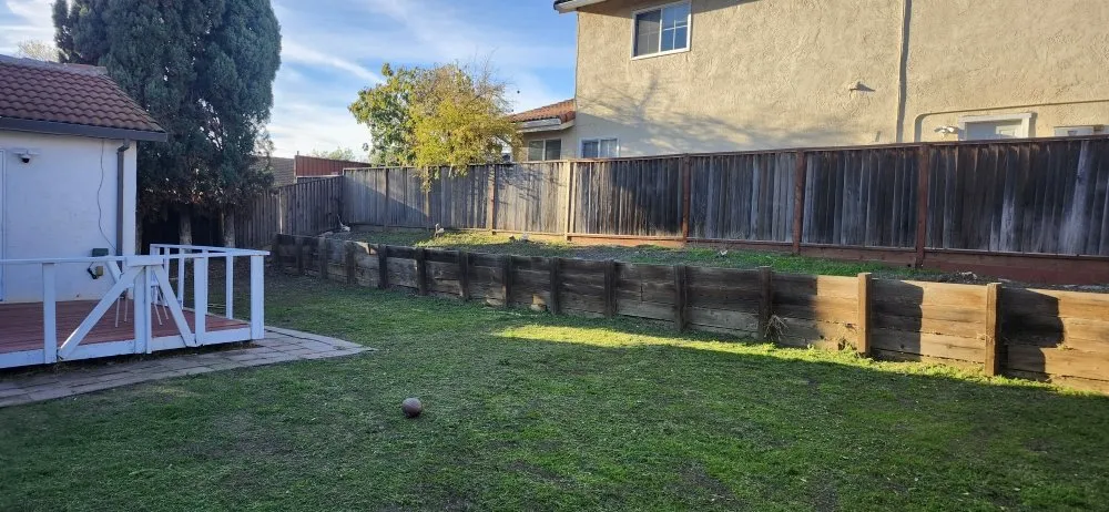 Trusted lawn mowing service in San Jose, CA - Armando Gardening Service