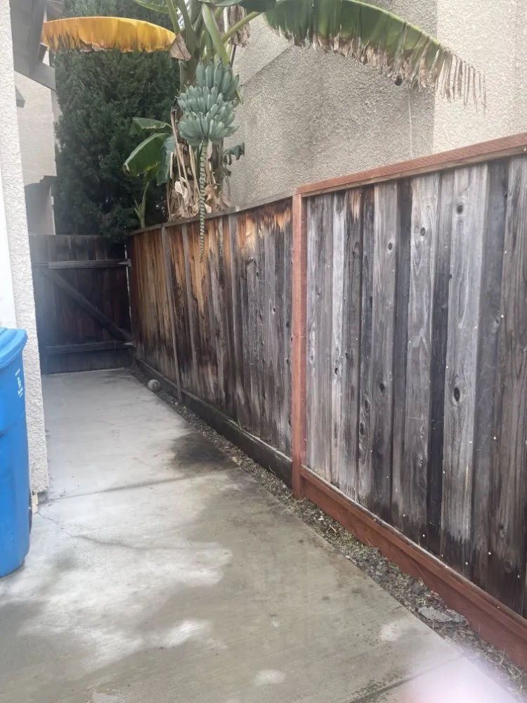 Reliable landscape design experts serving San Jose, CA - Armando Gardening Service