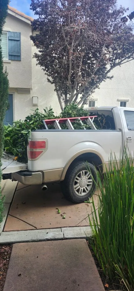 Expert lawn care service with custom design in San Jose, CA by Armando Gardening Service