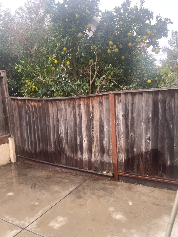 Professional landscape installation for beautiful yards across San Jose, CA - Armando Gardening Service