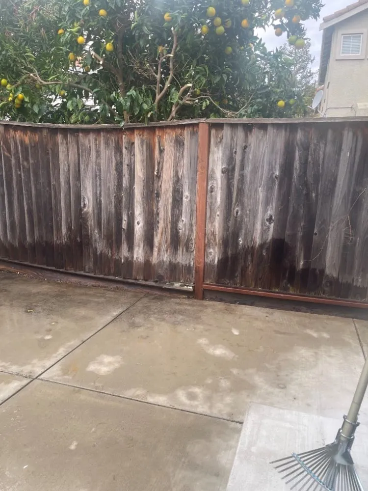 Expert lawn mowing service experts serving San Jose, CA - Armando Gardening Service