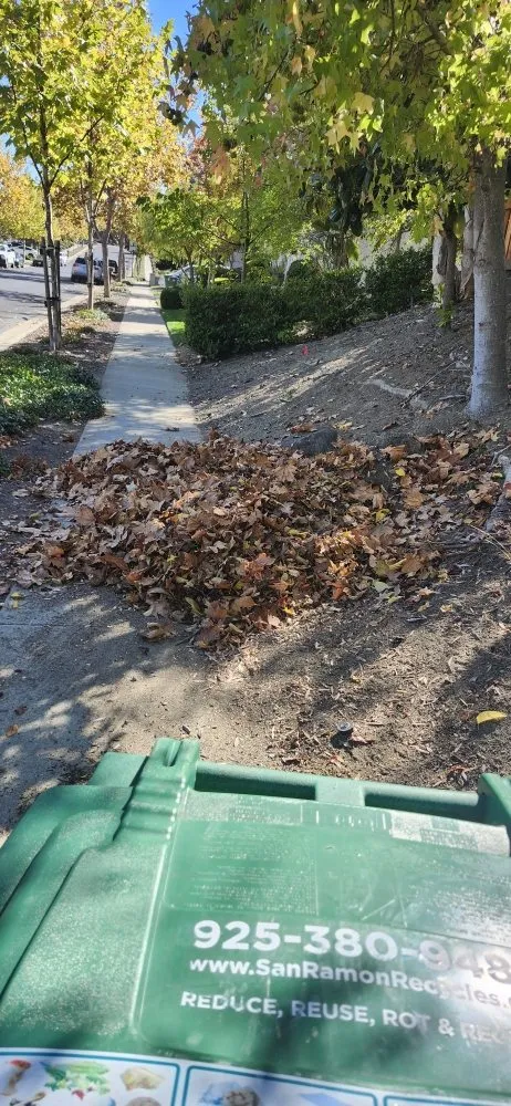 Expert landscape installation near you in San Jose, CA by Armando Gardening Service