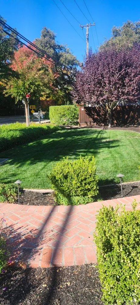 Trusted residential landscaping in San Jose, CA by Armando Gardening Service