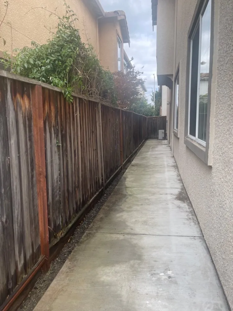 Professional landscape design for year-round maintenance in San Jose, CA by Armando Gardening Service