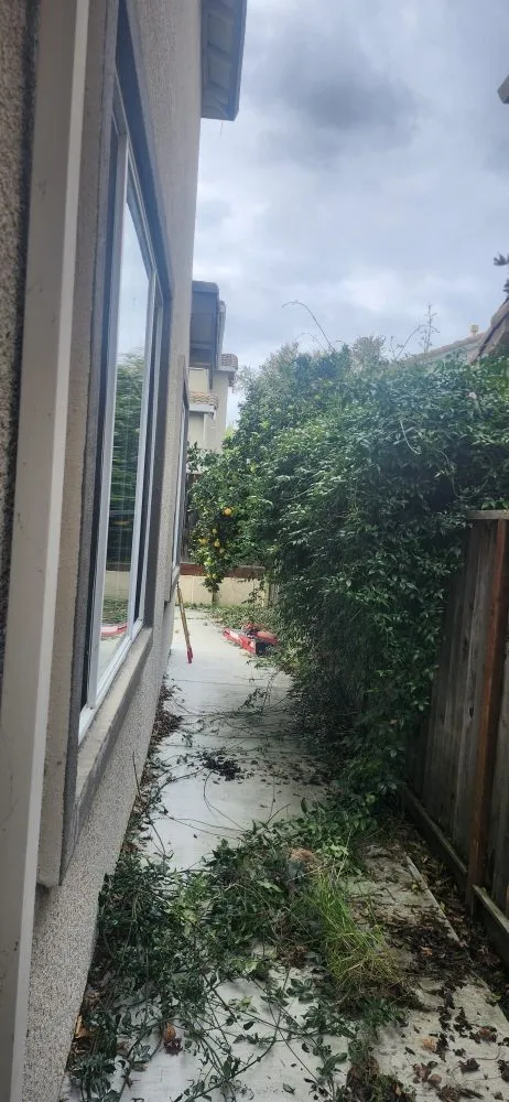 Custom landscape design in San Jose, CA by Armando Gardening Service