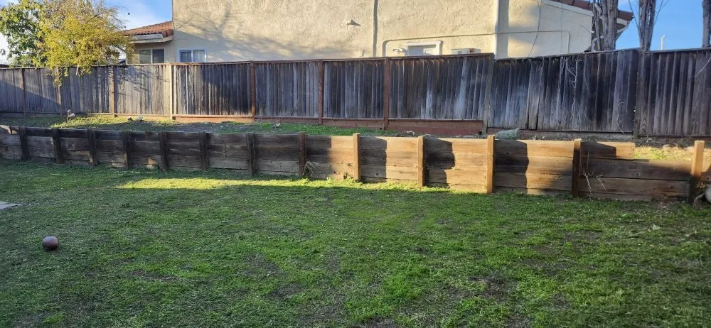 Expert lawn care service in San Jose, CA by Armando Gardening Service