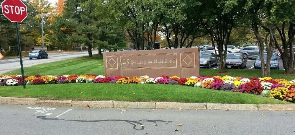 Professional outdoor landscaping for outdoor upgrades across Malden, MA - Armando Landscaping