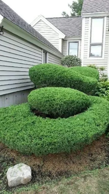 Affordable residential landscaping experts serving Malden, MA - Armando Landscaping