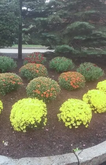 Professional outdoor landscaping experts serving Malden, MA - Armando Landscaping