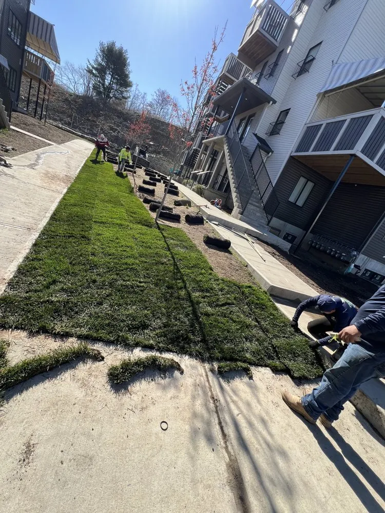 Top-rated yard maintenance for year-round maintenance across Monroe, NY - Armando Landscaping