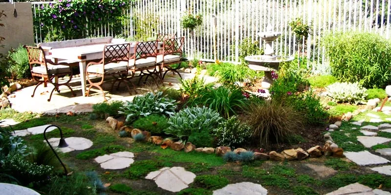 Professional lawn care service experts serving Missouri City, TX - Armando Lawn Care