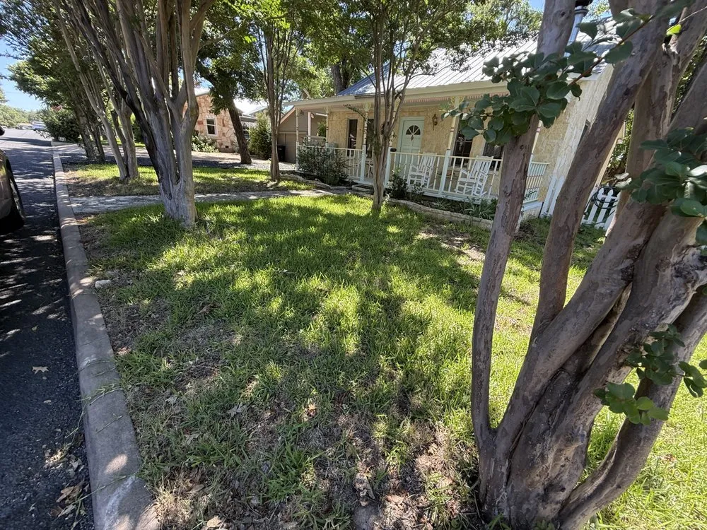 Professional landscape design experts serving Comfort, TX - Armando Lawn Tree Trimming Window Handy Man Services