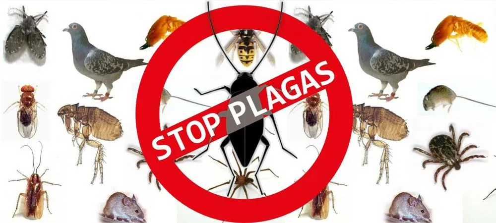 Professional landscape design for outdoor upgrades across Hialeah, FL - Armando Pileta Pest Control