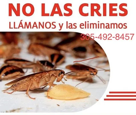 Armando Pileta Pest Control Logo