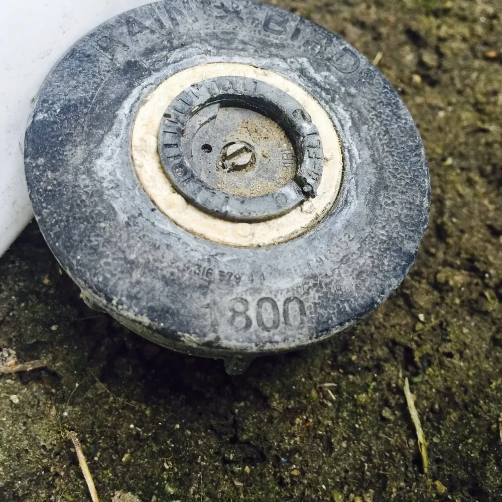 Trusted landscape design for homes across Downey, CA - Armandos Gardening Service