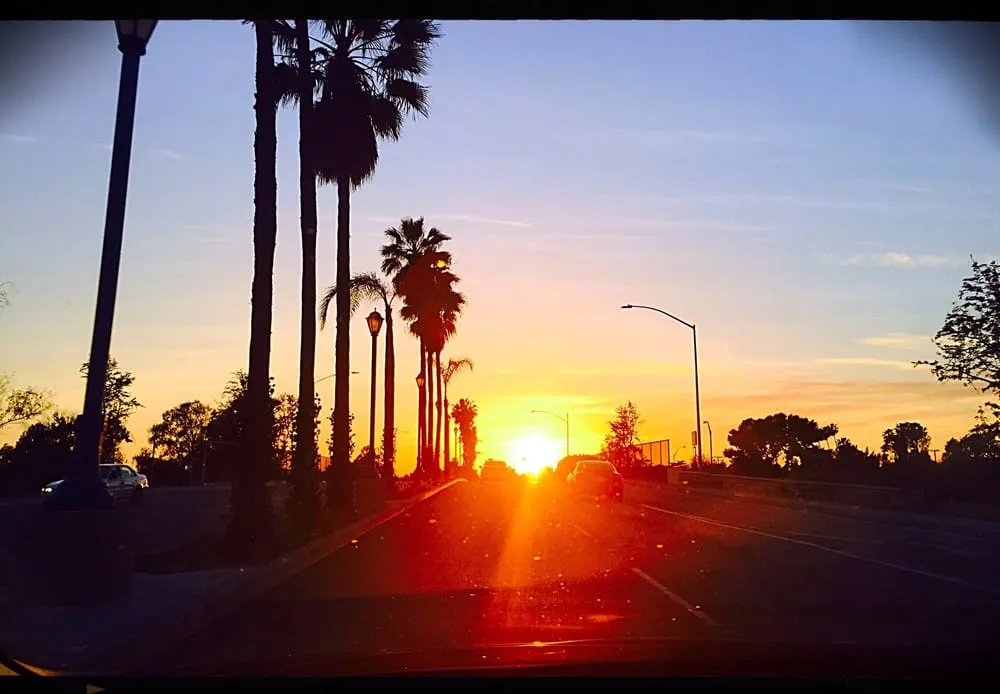 Trusted residential landscaping with custom design in Downey, CA by Armandos Gardening Service