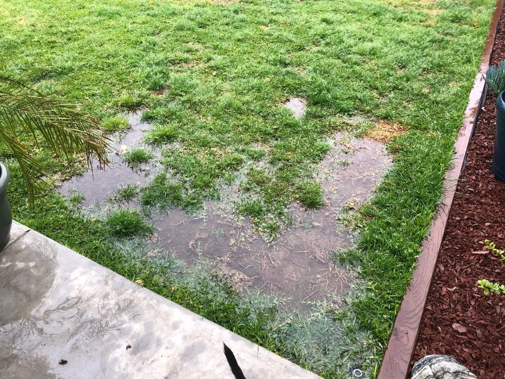 Trusted outdoor landscaping for year-round maintenance in Downey, CA by Armandos Gardening Service