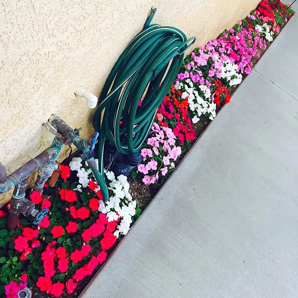 Custom yard maintenance in Downey, CA by Armandos Gardening Service