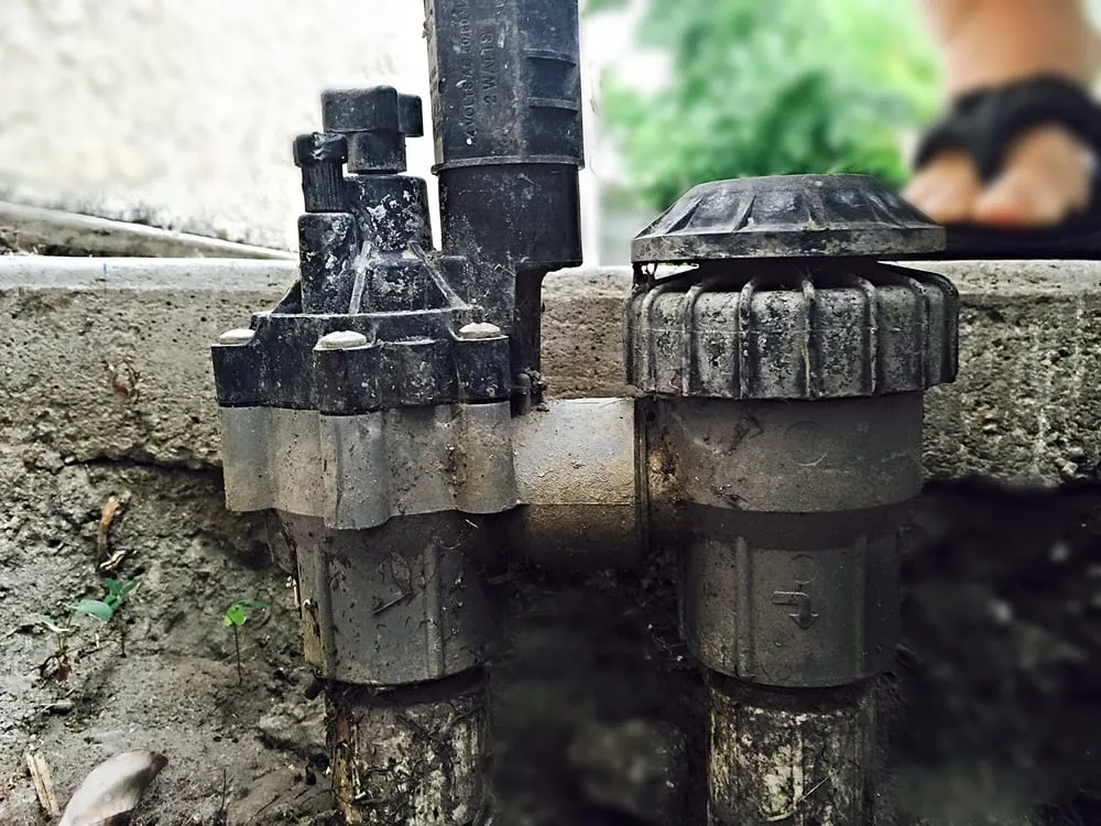 Affordable garden landscaping for outdoor upgrades across Downey, CA - Armandos Gardening Service