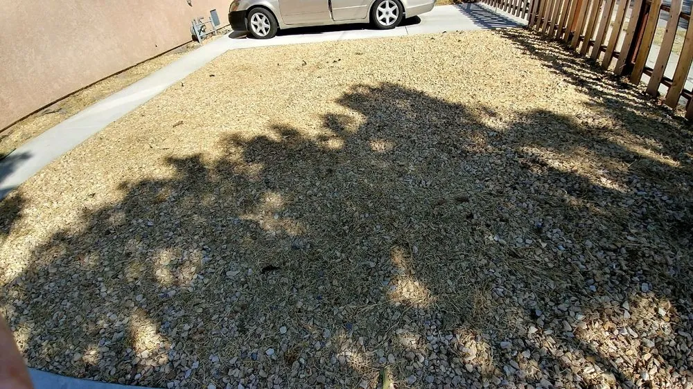 Affordable yard maintenance in Downey, CA - Armandos Gardening Service