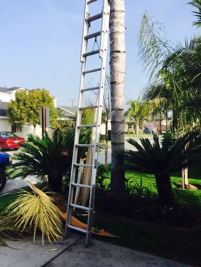 Expert outdoor landscaping in Downey, CA - Armandos Gardening Service