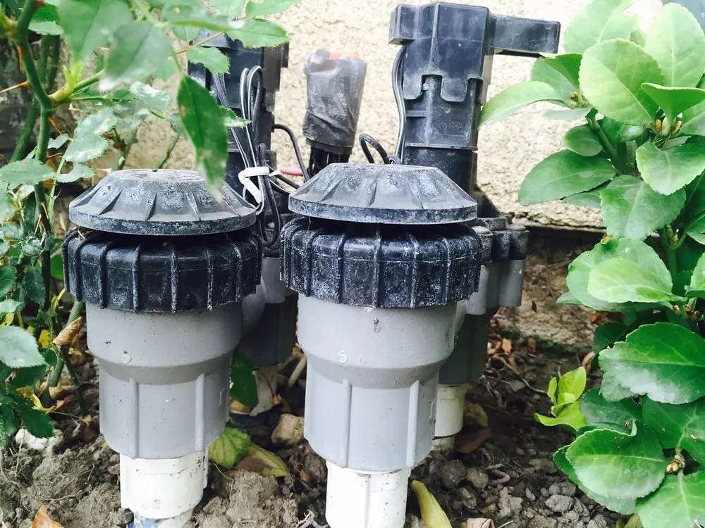 Custom residential landscaping experts serving Downey, CA - Armandos Gardening Service