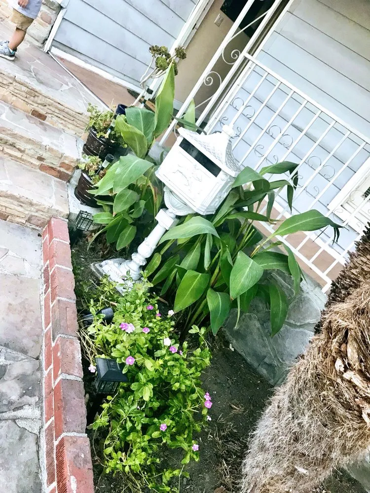 Reliable landscaping services for residential properties across Downey, CA - Armandos Gardening Service