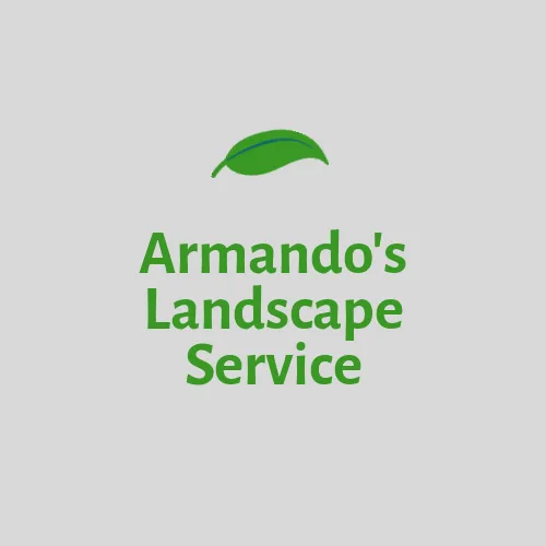 Expert yard cleanup service in Woodland, CA by Armando's landscape services