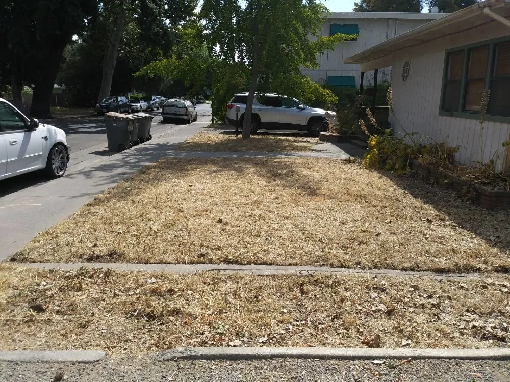 Reliable landscape installation experts serving Woodland, CA - Armando's landscape services