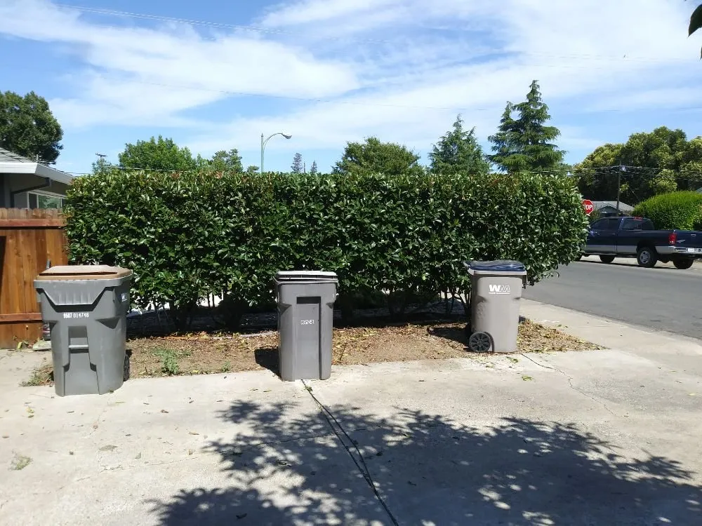 Trusted landscape installation with custom design across Woodland, CA - Armando's landscape services