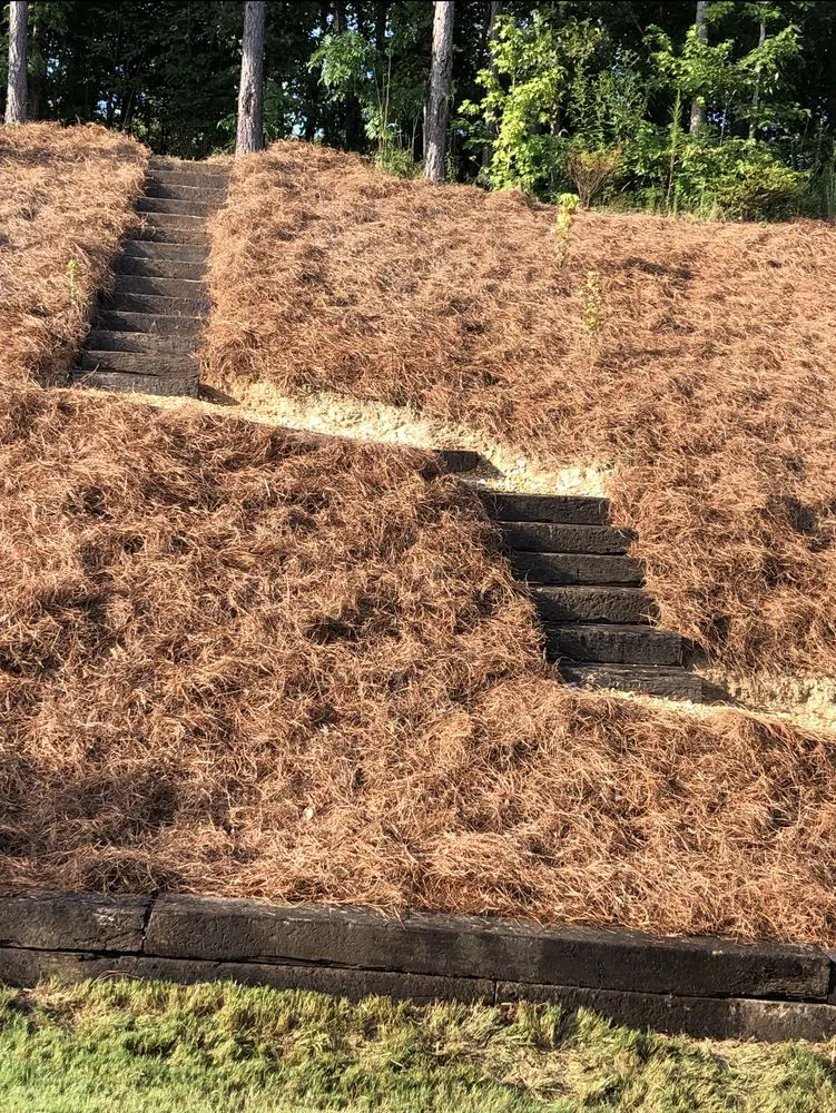 Affordable garden landscaping for beautiful yards in Bessemer, AL by Armando’s Landscaping And Hardscaping