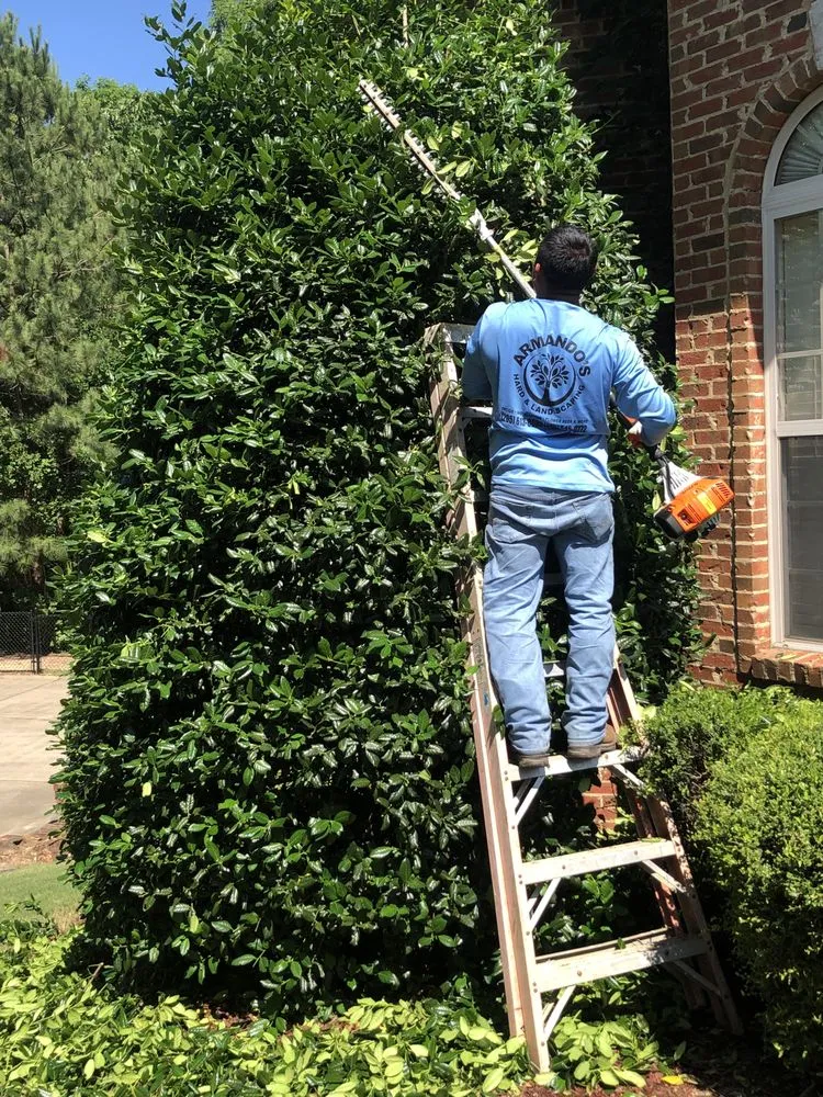Expert yard maintenance in Bessemer, AL by Armando’s Landscaping And Hardscaping