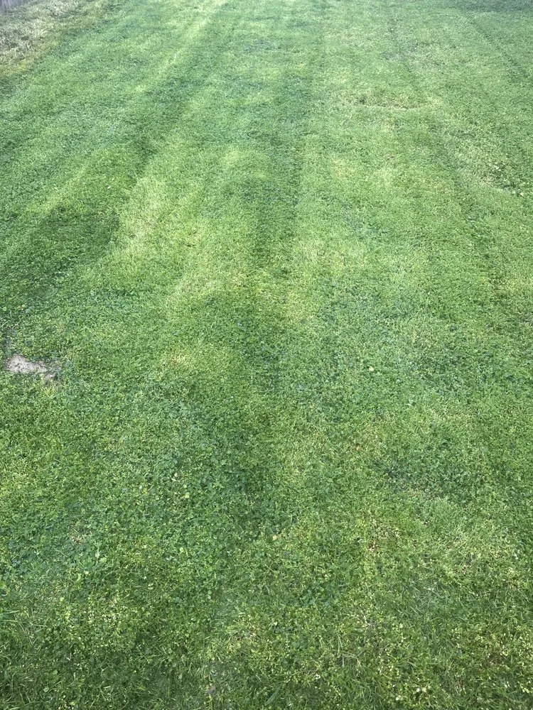 Professional landscape design for beautiful yards across Fort Worth, TX - Armando’s Landscaping